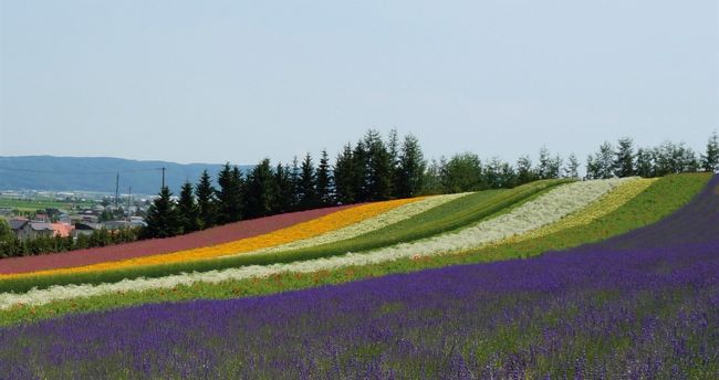 北海道旅、２日目は富良野に向かいます。<br />この時期は、ファーム富田の彩りの畑は欠かせません。<br />