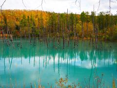 2017年10月  秋の北海道  ～ 青い池と白ひげの滝、東川町「ニセウコロコロ」、紅葉の層雲峡と日帰り温泉