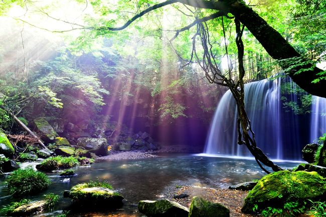 　梅雨が明けました。学生の夏休みに突入しました。<br />　早起きし、小国町の鍋ケ滝へ行ってきました。<br />　鍋ケ滝はお茶のＣＭで有名になりましたが、この時期滝つぼに光芒が発生します。