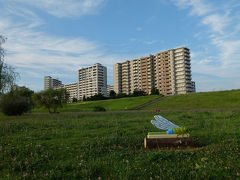 早朝　荒川散歩　荒川右岸新田緑地へ。