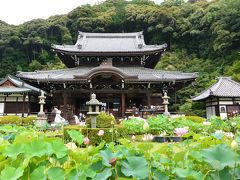 ２０１７年７月　抹茶パフェが食べたくて(笑)からの御朱印もね♪西国三十三カ所巡り【１２】第１０番『三室戸寺』～「伊藤久右衛門」～「そば処　ながの」～「平等院」～