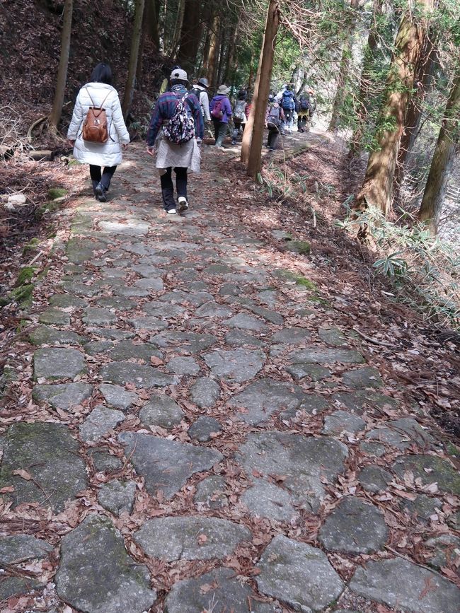 馬籠宿（まごめじゅく）は、中山道43番目の宿場で、木曽11宿の一番南の宿場町である。<br />かつては長野県木曽郡山口村に属したが、2005年（平成17年）2月の山口村の越県合併により岐阜県中津川市に編入された。1895年（明治28年）と1915年（大正4年）の火災により、古い町並みは石畳と枡形以外はすべて消失したが、その後復元され現在の姿となった。<br /><br />石畳の敷かれた坂に沿う宿場で、馬籠峠を越えた信州側の妻籠宿（長野県木曽郡）とともに人気があり、多くの観光客が訪れる。石畳の両側にお土産物屋がならび、商いをしていない一般の家でも当時の屋号を表札のほかにかけるなど、史蹟の保全と現在の生活とを共存させている。ほぼ中間地点に、旧本陣であった藤村記念館（島崎藤村生家跡）がある。<br />（フリー百科事典『ウィキペディア（Wikipedia）』より引用）	<br /><br />馬籠　については・・<br />http://www.kiso-magome.com/<br />http://www.kiso-magome.com/kankou.html<br /><br />馬籠峠（まごめとうげ）は、長野県木曽郡南木曽町と岐阜県中津川市の境にある旧中山道の峠。標高801m。<br />妻籠宿と馬籠宿の両宿の間にあり、中山道の宿場町の中でも史蹟として保存状態の良い両宿を含めて観光地として訪れる人も多い。峠には「白雲や青葉若葉の三十里」という正岡子規の句碑が建っている。<br /><br />かつては長野県内の峠だったが、山口村が中津川市と越県合併したことで県境の峠となった。峠道は中山道の旧道と岐阜県道・長野県道7号中津川南木曽線が並走し、分岐と交差を繰り返している。<br />（フリー百科事典『ウィキペディア（Wikipedia）』より引用）	<br /><br />木曽街道（きそかいどう）とは、京と江戸を美濃国および信濃国を経て結んでいた山道の俗称である。古代から中世の東山道、江戸時代の中山道のこと。当時は木曾街道と書いた。<br />狭義には、中山道のうち、美濃国と信濃国の境界部に当たる木曽地方の一部区間を指した。贄川宿・奈良井宿・薮原宿・宮ノ越宿の上四宿、福島宿・上松宿・須原宿の中三宿、野尻宿・三留野宿・妻籠宿・馬籠宿の下四宿からなる11の宿場が設置された。 （フリー百科事典『ウィキペディア（Wikipedia）』より引用）<br />