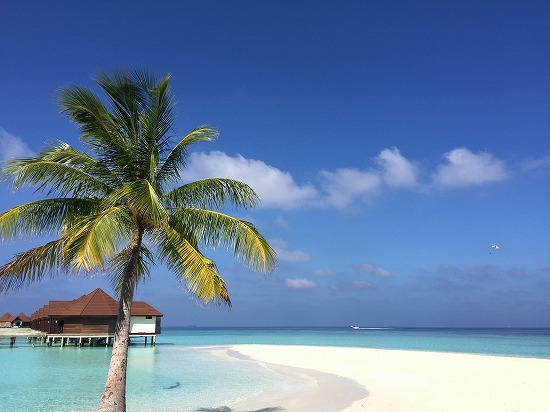 2017年1月の旅行記<br />世界85ヶ国ぐらいを周った妻が選んだ新婚旅行先、モルディブ。<br />旦那さん以外と行く気が無かったので、この日まで待っていたんです!!!<br /><br />