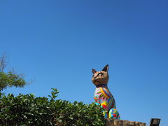 DAY7・last地中海に浮かぶ島マルタでねこ歩き 