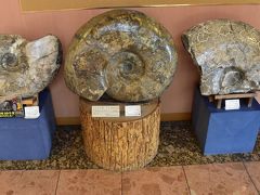 恐竜やアンモナイトの化石が発見される天塩中川（北海道）