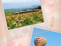 2017年夏・滋賀の新しい魅力を発見!の旅 <箱館山ゆり園と烏丸半島の熱気球イベント>