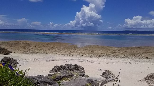 もうすぐ50歳　<br /><br />5泊6日　石垣島　黒島　へ<br /><br />旅行記のタイトル　優雅で贅沢は物理的でなく心理的にということで・・・<br /><br />相も変わらず節制した旅行です<br /><br /><br />４日も休暇をとれる贅沢<br /><br />ホテルでの朝食する贅沢<br /><br />おいしい　マンゴー・パイナップルを食べれる贅沢<br /><br />贅沢三昧の旅行記です<br /><br /><br />7月19日　8時20分　神戸空港発　那覇行き<br />　　　　11時15分　那覇空港発　石垣島行き　<br />　<br />　　　　　レンタカー　で島めぐり<br />　　　　ホテル　ククル泊<br />7月20日　10時30分　黒島行　乗船<br />　　　　　南来　泊<br />7月23日　8時30分　石垣島<br />　　　　　12時55分　石垣島発　那覇行<br />　　　　　14時30分　那覇発　神戸空港行<br />