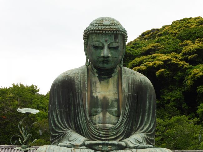 富岡製糸場を見学した後は鎌倉へ急ぎましたが、手前で大渋滞。<br />大型バスがたくさん来る時間帯にはまってしまいました。<br /><br />鎌倉の大仏さんには中学3年生の修学旅行以来45年ぶりに<br />お会いできました。<br /><br />以前と変わらない顔に懐かしく思うとともに、また来れた健康な身体に感謝しました。