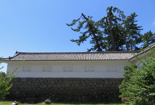 旧東海道の名城巡りの小田原城と北条早雲についての紹介の続きです。早雲は生前に『北条早雲』と名乗ったことはなく、亡くなった後での呼び名です。(ウィキペディア、日本百名城・公式ガイドブック、小田原城関連公式サイト)