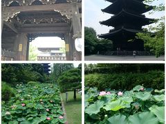 夏の京都旅 一泊二日