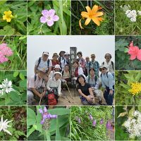 2017夏の花旅：(2)飯盛山～野辺山