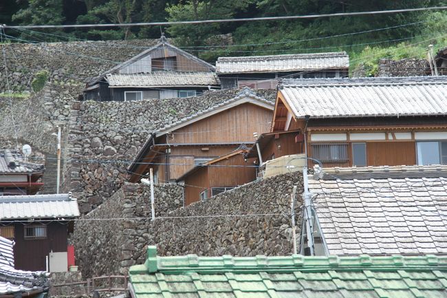 昔はもっと多くの石垣があったそうです。<br />山の上に近い方から徐々に人家、畑がなくなりジャングルに戻っていったようです。