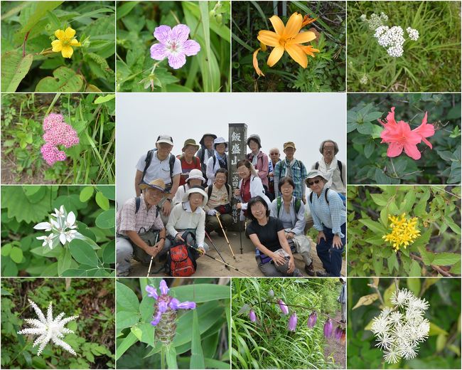 2017夏の花旅：(2)飯盛山～野辺山