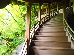 永観堂禅林寺　雨が好きになる京都のお寺part2