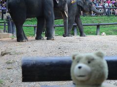 モサクと行く！バンコク・チェンマイ⑤