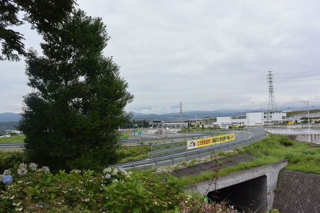 自転車で市内の新東名高速道新富士IC付近を走って来ました。