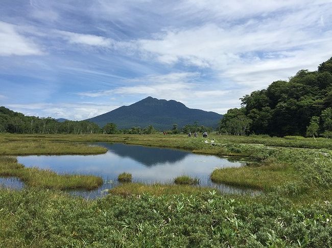 山の日は尾瀬に行こう。<br />昔何度か訪れた尾瀬。ヨーロッパのような風景にあこがれ、大好きな場所でした。大人になってからは今回が初。緑豊かな夏の尾瀬です。