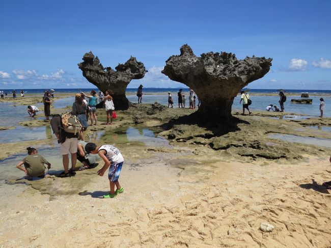 ティーヌ浜<br /><br /> 古宇利島の北部にある砂浜で、2つの岩が重なってハート形に見える<br /> 「ハート岩」は、島のシンボルでいちばんの人気スポットです。この<br /> 「ハート岩」は、嵐が出演するJAL「先得」のCMで話題になりまし<br /> た。干潮時には遠浅の岩場が広がり、潮だまりでは磯遊びが楽しめま<br /> す。<br /><br /><br />古宇利オーシャンタワー<br /><br /> 駐車場(券売所)から自動カートで、南国の植物や石組の滝、古宇利島<br /> の絶景を楽しみながら、展望タワーに向かいます。展望タワーでは、沖<br /> 縄の「アダムとイブ伝説」にあやかって「愛の鐘」を鳴らし、古宇利大<br /> 橋やエメラルドグリーンの海を満喫します。シェルミュージアムも必見<br /> です。<br /><br /><br />古宇利ビーチ<br /><br /> ファミリーで遊泳を楽しめるビーチで、遊泳可能エリア(クラゲ除け<br /> ネット内)は遠浅の砂浜で、アマモが繁殖している所のイソギンチャク<br /> の周りにクマノミがいました。<br /><br /> ふれあい広場に無料駐車場があります。シャワー、更衣室、トイレは無<br /> 料、パラソルやチエアーは有料です。売店で遊泳用具が買えます。<br /><br /> ふれあい広場にある売店が充実しています。海ぶどうやアオサ、もず<br /> く、ドラゴンフルーツ、スターフルーツ、パッションフルーツ、カテモ<br /> ヤ、パイン、野菜用のパパイヤ、サトウキビなどが並んでいます。お食<br /> 事処もあります。<br /><br /><br />