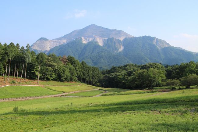 本日も日産リーフに乗り、久々に平日登山<br />あまり遠くだと次の日が仕事なので近場の秩父の山を登ってきました。<br />先月両神山を登った時に気になってた武甲山！秩父セメントで有名な山です。<br />登山道には一般道で行ったため、リーフの充電を入れて5時間と登山前にお疲れ模様。<br />駐車場へ到着したのが11時、休まず山頂を目指せば一時間位で登れるかと思い登りました。<br />流石に山頂までは良く整備されていて道迷いは皆無です。<br />山頂では12時半に石灰石を爆破するダイナマイト音が数回響き渡りました！<br />その後、子持山→大持山へ周回して下山ってルートで歩いてきました。<br />子持山へは急な下りと急な登りですが、武甲山への登りが楽で行けて余力が有ったので楽に縦走できました。<br />累積標高も1000ｍで四時間位の周回でしたが天気にも恵まれ、久々の静かな平日の登山を堪能出来ました。