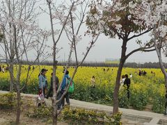 江南の春  ② 上海(人民広場,彫刻公園,中山公園,奉賢庄行)