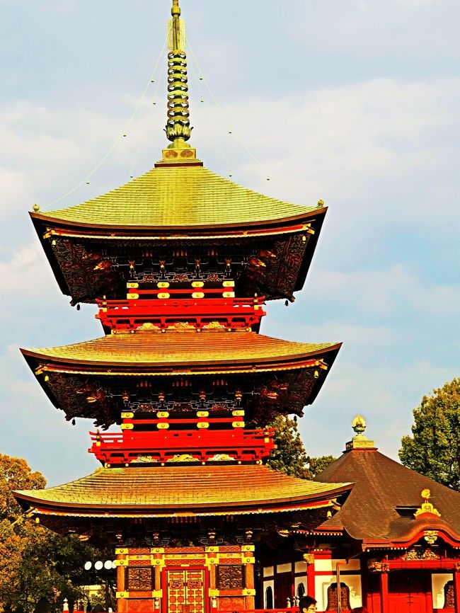 成田山新勝寺(しんしょうじ)は、千葉県成田市にある真言宗智山派の寺であり、同派の大本山のひとつである。本尊は不動明王。関東地方では有数の参詣人を集める著名寺院で、家内安全、交通安全などを祈る護摩祈祷のために訪れる人も多い。不動明王信仰の寺院のひとつであり、寺名は一般には「成田不動」あるいは単に「成田山」と呼ばれることが多い。成田山新勝寺は平安時代中期に起きた平将門の乱の際、939年(天慶2年)朱雀天皇の密勅により寛朝僧正を東国へ遣わしたことに起源を持つ。寛朝は京の高雄山(神護寺)護摩堂の空海作の不動明王像を奉じて東国へ下り、翌940年(天慶3年)、海路にて上総国尾垂浜に上陸。平将門を調伏するため、下総国公津ヶ原で不動護摩の儀式を行った。新勝寺はこの天慶3年を開山の年としている。境内は広く、新旧のさまざまな建造物が並んで、庶民の信仰の場の雰囲気を残している。江戸中期~末期の建築である仁王門、三重塔、釈迦堂、額堂、光明堂の5棟が国の重要文化財に指定されている。参道を10分ほど歩き、急な石段を上った先の台地上に伽藍が広がる。石段の途中に仁王門、石段を上った先の正面に大本堂、その手前右手に三重塔、鐘楼、一切経蔵などが建つ。この他、大本堂の左手に釈迦堂、大本堂背後の一段高くなった地には額堂、光明堂、開山堂、平和の大塔などが建つ。境内の東側は広大な成田山公園になっている。総門・・開基1070年記念事業として2006年(平成18年)に竣工した。境内入口に建つ。総欅造り。高さ15m、桁行14.2m、梁行6.3m仁王門・・国の重要文化財。参道から大本堂へ至る急な階段の途中に建つ。入母屋造の八脚門で、1830年(天保元年)の建立。大本堂・・仁王門をくぐり、石段を上りきった正面に建つ、当寺の中心となる堂。本尊不動明王像を安置する。入母屋造り二重屋根の鉄筋コンクリート造で、規模は間口95.4m、奥行59.9m、棟高32.6m。1968年建立三重塔・・国の重要文化財。大本堂の手前右手に建つ、1712年(正徳2年)建立の塔。高さ25mの中規模の塔だが、近くにある大本堂に比較して小さく見える。軒裏には垂木を用いず、雲文を刻んだ板で軒を支える板軒とする。初層は各面の中央を扉とし、その両脇の柱間には十六羅漢の彫刻を施す。この他、柱、長押、貫などの部材に地紋彫りを施すなど、近世建築らしく装飾性豊かな塔である。釈迦堂・・国の重要文化財。大本堂左手の広場に建つ入母屋造の仏堂で、1858年(安政5年)建立の旧本堂。後述の光明堂(これも旧本堂)と似た形式になるが、規模はこちらの方が一回り大きく、屋根正面に千鳥破風を付ける点も異なっている。堂の周囲には二十四孝と五百羅漢の浮彫が施されている。光明堂・・国の重要文化財。額堂のさらに先に建つ入母屋造の仏堂で、1701年(元禄14年)建立。釈迦堂が本堂になる前の旧本堂である。愛染明王・不動明王・大日如来が祀られている。 (フリー百科事典『ウィキペディア(Wikipedia)』より引用)成田山新勝寺 については・・http://www.naritasan.or.jp/