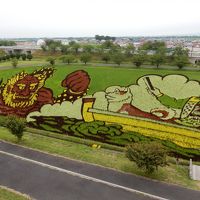 ねぶた記念館（青森・五所川原）と田んぼアート