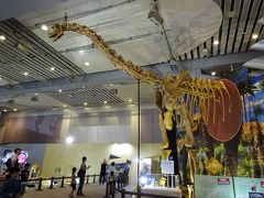 ごめんね。「メガ恐竜展」で、福井の恐竜博物館の代わりにします～