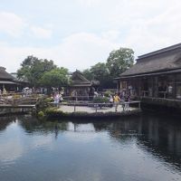 真夏の富士山周辺・・・・・②忍野八海