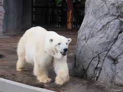 母娘で初めて行く夏の北海道旅行 ［１日目］ 旭山動物園、旭川泊