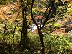 山梨秋紀行　 昇仙峡　～　モンデワイナリー　～　ハーブガーデン旅日記