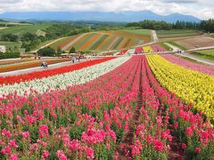 母娘で初めて行く夏の北海道旅行 ［２日目］ 富良野・美瑛