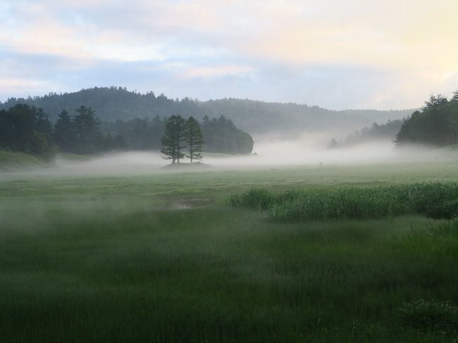 (写真は大江湿原の朝)<br /><br />1年ぶりの尾瀬行です。昨年同様沼山峠から入ります。尾瀬は国立公園として日光と別れ、代わりに田代山、帝釈山が加わりました。残念ながらこちらまで足を伸ばす方はほとんどいませんが、やはり素晴らしい湿原があります。<br /> (田代山/天空の湿原 http://4travel.jp/travelogue/10254815 )<br />今までやれなかったことはこれからやるだけ、今まで行けなかったところへはこれから行くだけ。年100日の旅は続きます。<br /><br />●「旅に出る」時は、芭蕉さんのように家を処分して出かけたいと思っている。旅は旅先を棲家としなければ。<br /><br /> ・夏の風流れ流され尾瀬ケ原<br /><br /> ・ワタスゲや背丈競いて風クール<br /><br /> ・浪が来た亜米利加の夏引き連れて<br /><br />