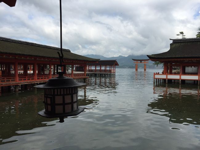 毎年6月のお楽しみ♪2泊3日の国内旅行。<br />今年は念願の厳島神社へ！！広島市内を観光し宮島へ。その後はレンタカーを利用し山口県まで足を伸ばし、絶景を堪能しました(^^♪