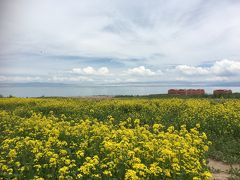 蘭州・西寧標高3,000Mオーバーの旅 (7月に菜の花が咲いている) その1 Day1蘭州