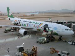 2017年バリ島パワースポット&ウブドの旅(出発編)