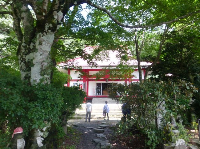 【坂東札所巡礼13】坂東巡礼最難関、バスツアーで行く第２１番八溝山日輪寺と（八溝山）第２２番妙福山佐竹寺（北向観音）