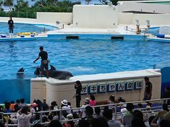 沖縄美ら海水族館に行きました