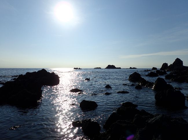 寒い冬のこと、久しぶりに会って飲んだ旅友から「夏ごろ、島旅行くけど」と声かけられていて…「今年は佐渡島になりました」と追加連絡があり誘われるまま島旅へ。<br /><br />2日目は佐渡観光。<br />レンタカーもいいけれど、お酒も飲みたい、という幹事の提案で今日は観光バスを利用。<br />午前と午後の半日コースをくっつけて一日観光です。<br /><br />午前のコース「おけさB」<br />佐渡博物館 ー 尾畑酒造 － 妙宣寺（五重塔） － 根本寺 － トキの森公園<br /><br />午後のコース「おけさA」<br />白雲台 － 大佐渡スカイライン － 佐渡金山 － 尖閣湾揚島遊園 － 夫婦岩