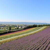 夏の富良野・美瑛、家族で農園巡り