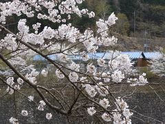 三年ぶりの相方親孝行ツアーin北関東　01足尾銅山に入坑する