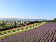 夏の富良野・美瑛、家族で農園巡り