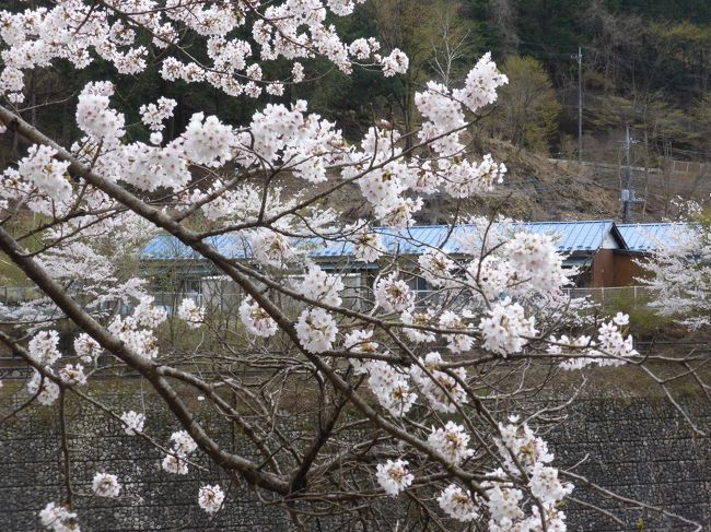 今年そろって80を迎えた相方ご両親。三年振りに温泉一泊旅行にお連れしました。<br />ご両親からのリクエストは「足利フラワーパークの大藤が見たい」一点のみ。先ずはその周辺エリアでプランニングしてみたのですが、足利限定だと宿に限りがあり、温泉だけどエレベーターが無いとか、途方も無く高額だとか・・・笑。<br />そんな事情もあり、どのみち自走旅なので車窓を楽しんでもらいつつ、あちらこちらにお連れするいつものパターンに相成りました。<br />初日は、比較的お値打ちに予約できた鬼怒川のお宿にお連れする前に、少し遠回りして足尾銅山へ行ってみました。<br /><br />