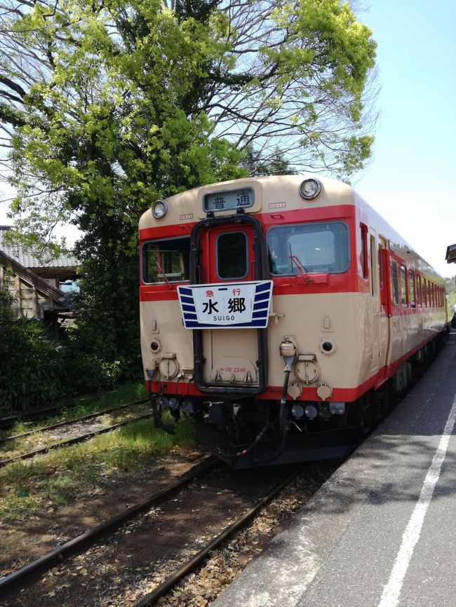  18切符でバタバタいろいろ歩いたばかりでしたが、いすみ鉄道のフェスティバルがあると言うことで行ってきました<br /><br />どうやら国鉄型を追いかけた一カ月となりました