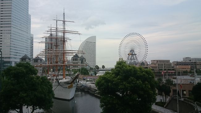 金曜日に関内駅近くのビルで資格の更新講習に参加しました。暑い夏の日でしたが講習が終わった夕方は大分過ごしやすくなっていました。会場となりの横浜球場は神奈川大会の準決勝をしていました。声援に引き寄せられるように球場に向かいましたが9回になっているとの事でしたので観戦を止めて関内周辺を散策することにしました。<br />今まで何度も来た場所ですがいつも仕事絡みでした。時間を気にせずのんびりと海風をうけながら関内から桜木町まで散歩しました。