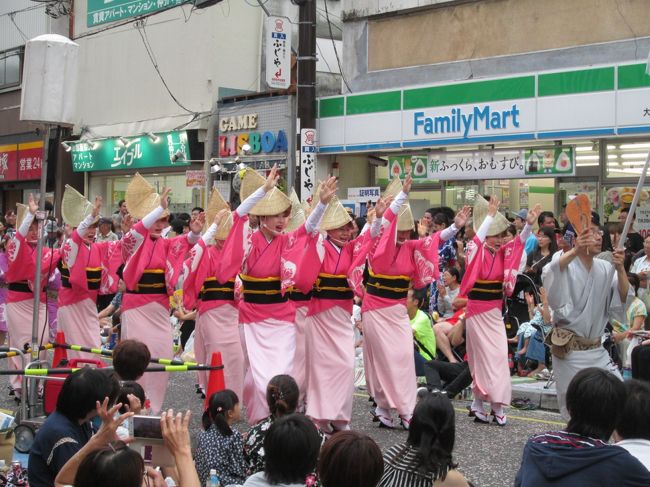 2017　関東三大阿波踊り　第41回神奈川大和阿波踊り