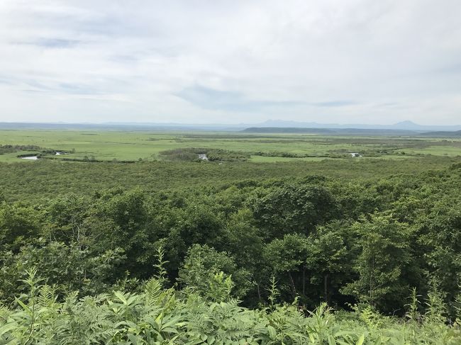 北海道一人旅、観光初日です。<br /><br />今日の最終目的地は知床なので、ほんとは石北本線経由で網走とかに寄ってみようかと思ってたんですが、明日から雨模様。。<br /><br />釧路湿原は天気がいい時に行きたいと急遽予定を変更しました。<br /><br />札幌から根室本線でまずは釧路に向かいます！<br /><br />気になってたノロッコ号にも乗れました。