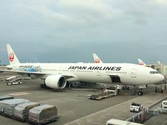 JAL特典航空券で行くニューヨーク 40日間滞在記　　【１】