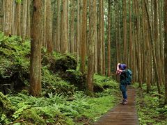 マイナスイオンでひんやりのみたらい渓谷トレッキング