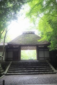 京都＊銀閣寺～法然院