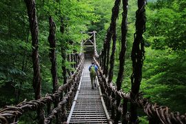 初めての四国旅行はピンポイント　(2) 野趣あふれる奥祖谷の二重かずら橋